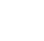 Zinnae