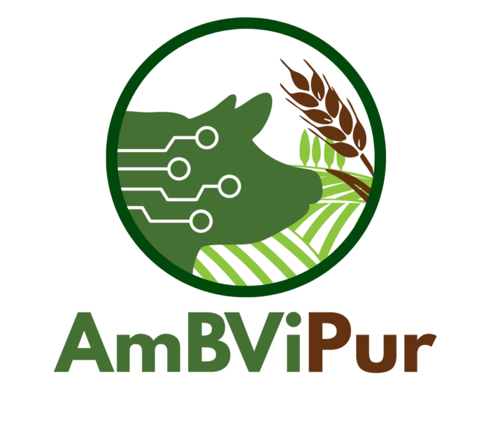 logo_AmBViPur vf